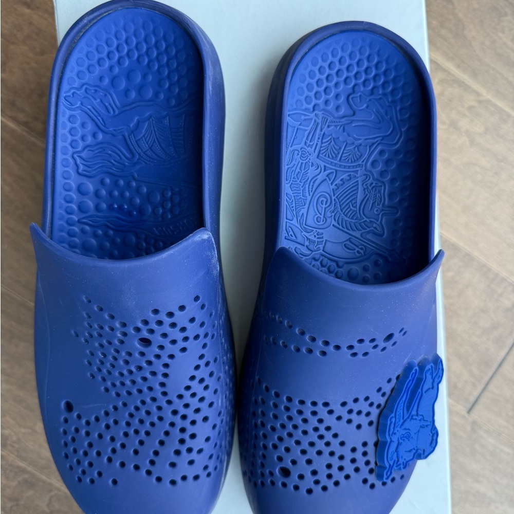 Blueberry Clogs - Picture 11 of 11